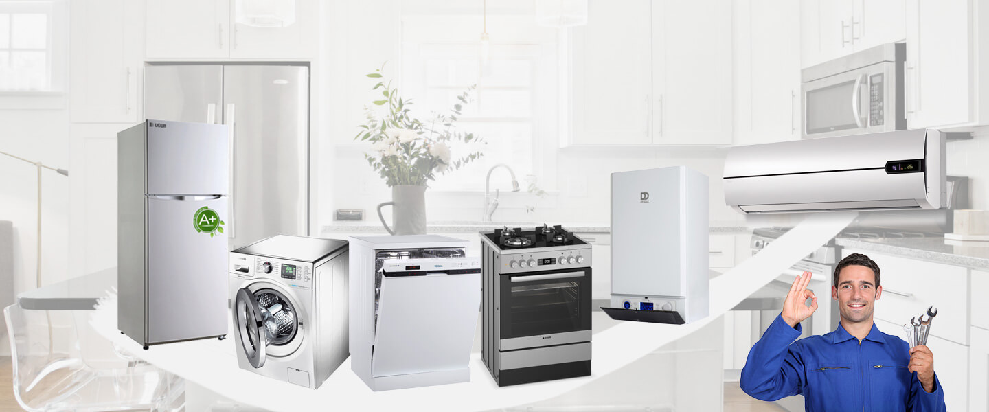 Doğankent Hoover Servisi